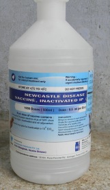 Newcastel disease